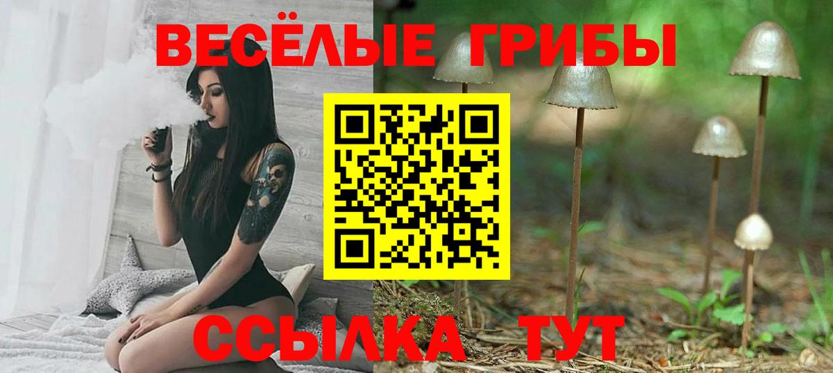 Псилоцибиновые грибы мицелий Таганрог