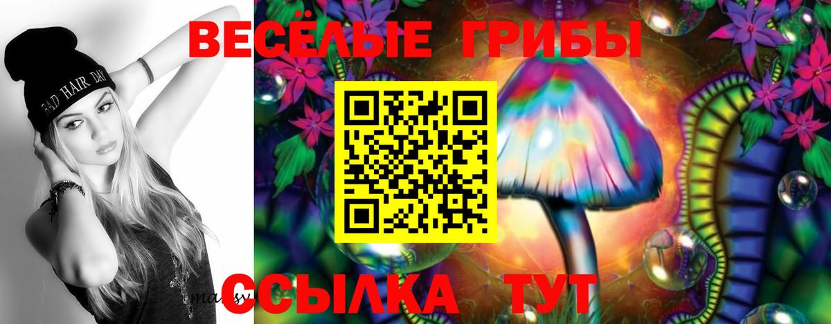 Таганрог  Галлюциногенные грибы Psilocybine cubensis  Вход с VPN 